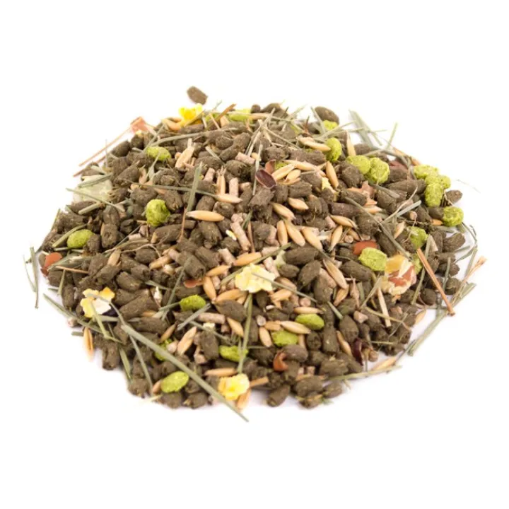 Great & Small Degu Food Best