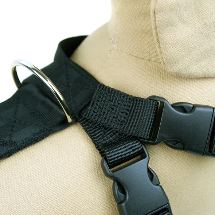 Great & Small Dog Car Harness Sale