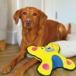 Great & Small Fortress Ape Extra Large Dog Toy Best