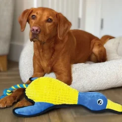 Great & Small Fortress Waterfowl Extra Large Dog Toy Hot