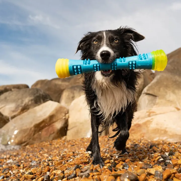 Great & Small Frubba Flash Stick Dog Toy Online