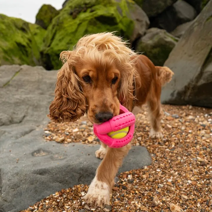 Great & Small Frubba Play Cross Ball Dog Toy Clearance