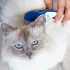 Great & Small FurFixer Deshedding Brush for Short Hair New