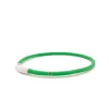 Great & Small Glow LED Rechargeable Dog Collar Green Fashion