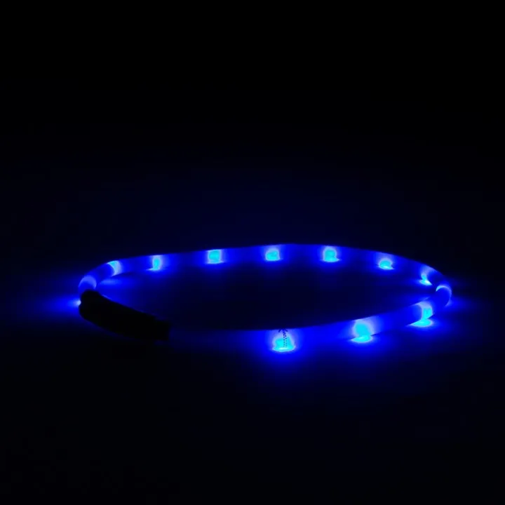 Great & Small Glow LED Rechargeable Dog Collar Blue New