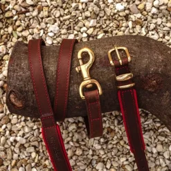 Great & Small Hawkhurst Leather Dog Lead Padded Red Discount