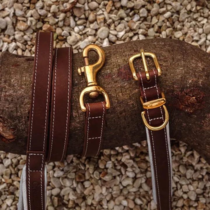 Great & Small Hawkhurst Leather Dog Collar Padded Blue Best