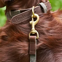 Great & Small Hawkhurst Leather Dog Collar Padded Blue Best