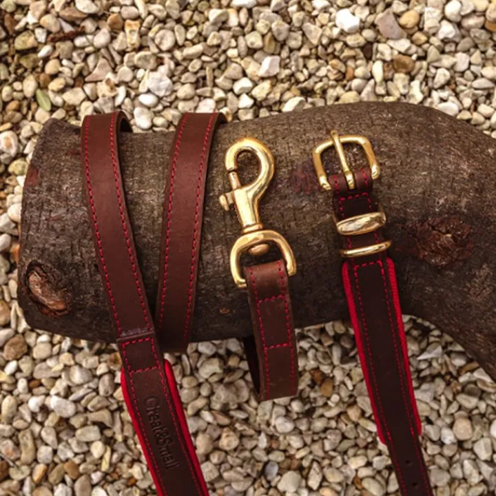Great & Small Hawkhurst Leather Dog Collar Padded Red Fashion