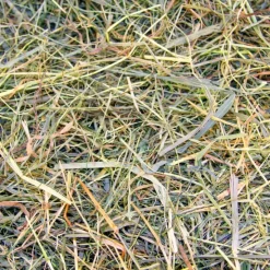 Great & Small Loose Hay - 100% Compostable Bag Hot