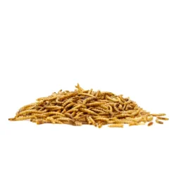 Great & Small Mealworms Bird Food Fashion