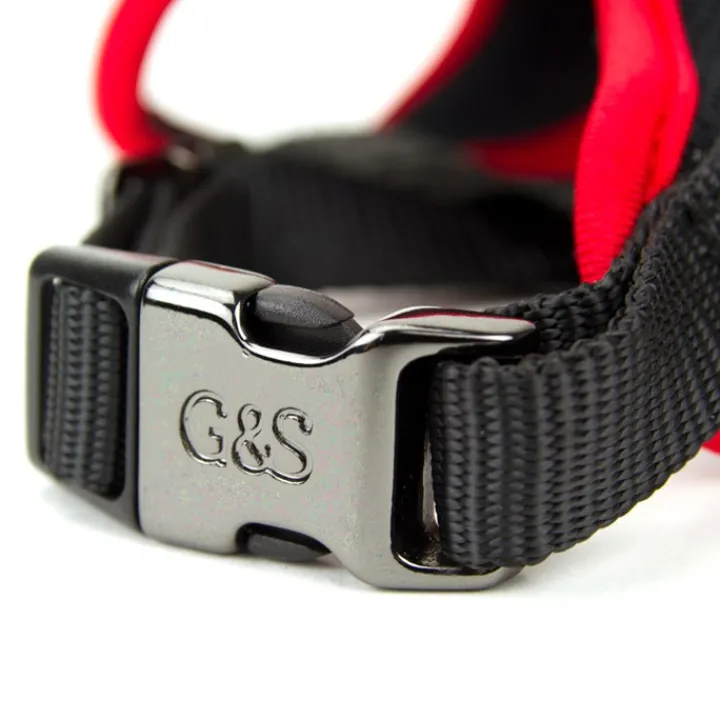 Great & Small Mesh Dog Harness Fashion