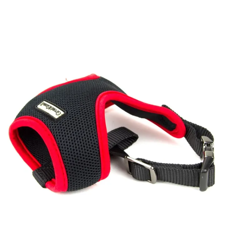 Great & Small Mesh Dog Harness Fashion