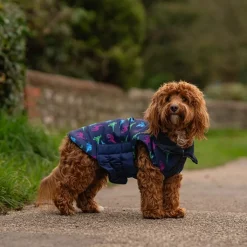 Great & Small Penrose Blue Dinosaur Dog Coat Fashion