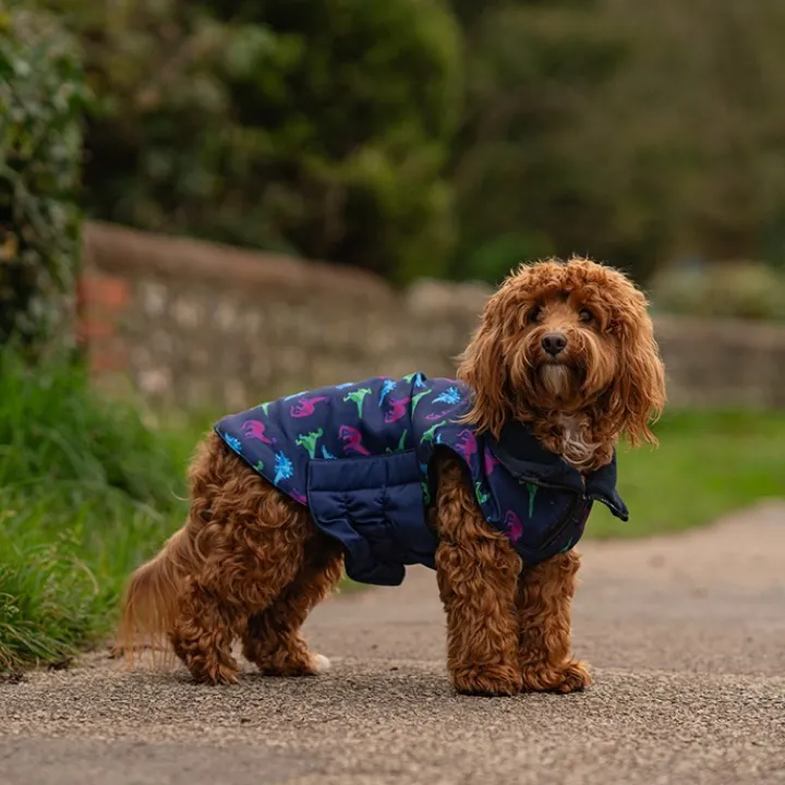Great & Small Penrose Blue Dinosaur Dog Coat Fashion