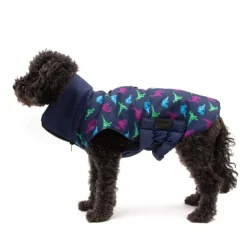 Great & Small Penrose Blue Dinosaur Dog Coat Fashion