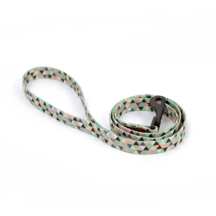 Great & Small Penrose Geometric Triangles Dog Lead Best