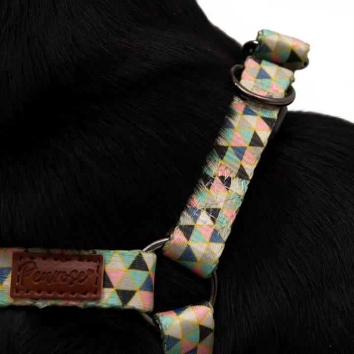 Great & Small Penrose Geometric Triangles Dog Harness Discount