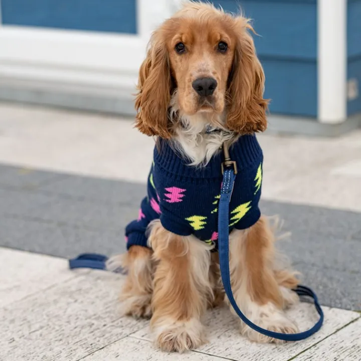 Great & Small Penrose Knit Lightning Bolt Dog Jumper Outlet