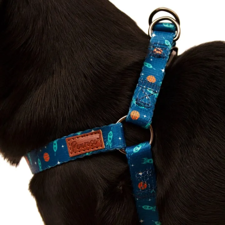 Great & Small Penrose Outer Space Blue Dog Harness Sale