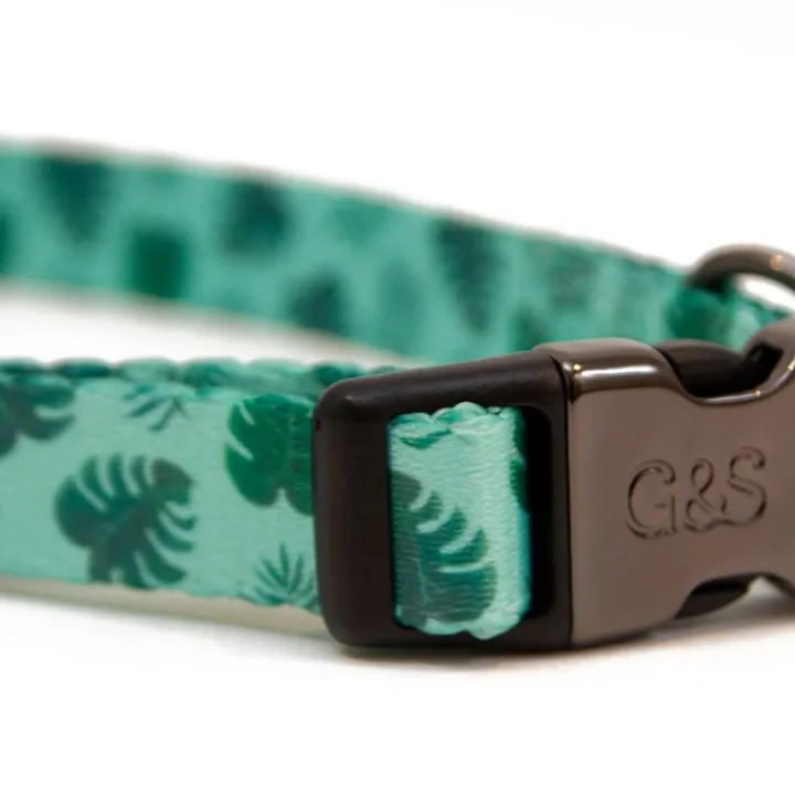 Great & Small Penrose Palm Leaf Green Dog Collar New