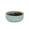 Great & Small Penrose Teal Stoneware Pet Bowl Best