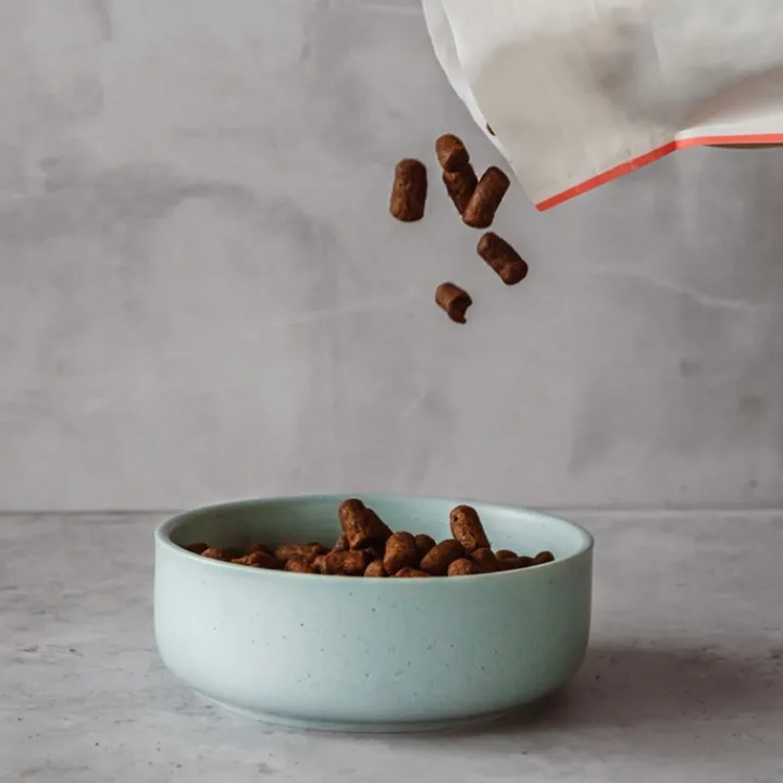 Great & Small Penrose Teal Stoneware Pet Bowl Best