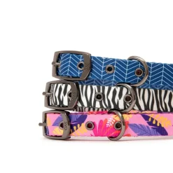 Great & Small Penrose Zebra Dog Collar Sale