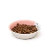 Great & Small Pink Speckle Cat Food Dish Online