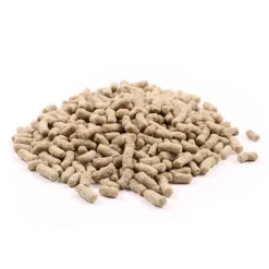 Great & Small Pond Sticks Clearance
