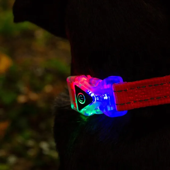 Great & Small Reflective Flashing Buckle Dog Collar Sale