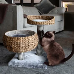 Great & Small Snuggle&Snooze Banana Leaf Cat Scratcher Bed Online
