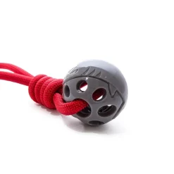 Great & Small Stay Wild Shark & Rope Dog Toy Online