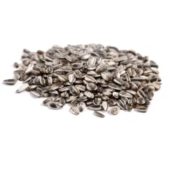 Great & Small Striped Sunflower Seeds Discount