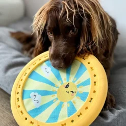 Great & Small Summer Sizzlers Frisbee Dog Toy Outlet