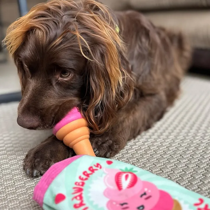 Great & Small Summer Sizzlers Wrapped Ice Cream Dog Toy Hot