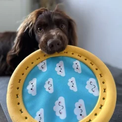 Great & Small Summer Sizzlers Frisbee Dog Toy Outlet