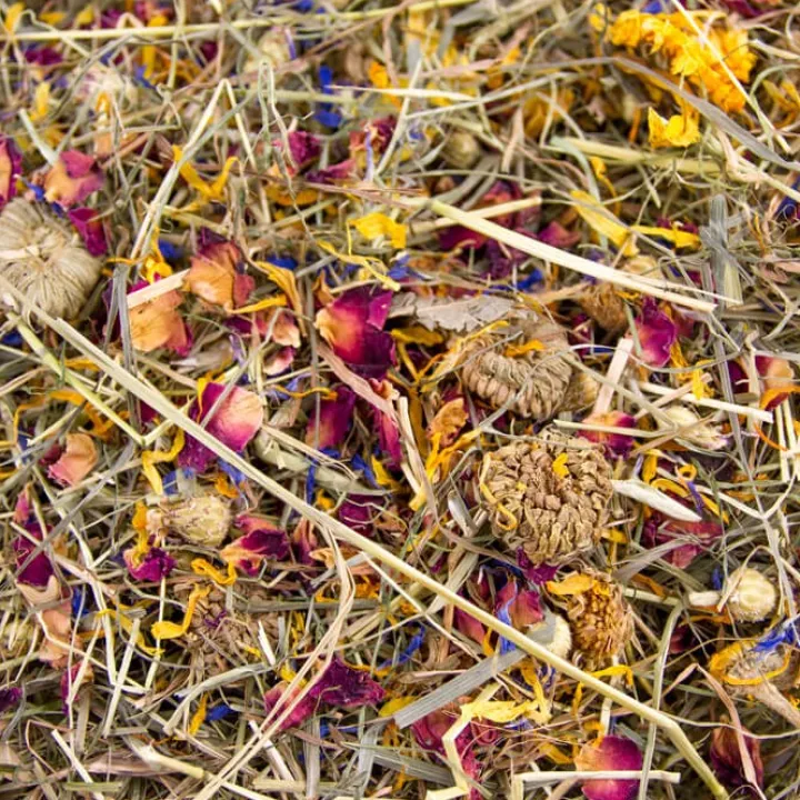 Great & Small Timothy Hay With Flowers Hot