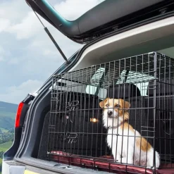Great & Small Wire Pet Den Dog Crate Outlet