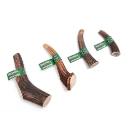 Green Elk Antler Full Dog Chew Discount