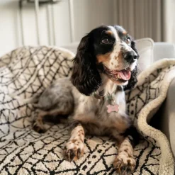 Green Elk Jacquard & Sherpa Pet Blanket Hot