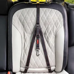 Kong Ultimate Safety Tether New