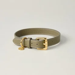 Lily & Leo Leather Flat Dog Collar Sage Hot