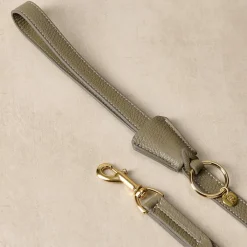 Lily & Leo Leather Flat Dog Lead Sage New
