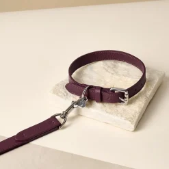 Lily & Leo Leather Flat Dog Lead Oxblood Discount
