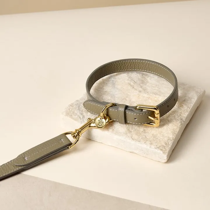 Lily & Leo Leather Flat Dog Collar Sage Hot