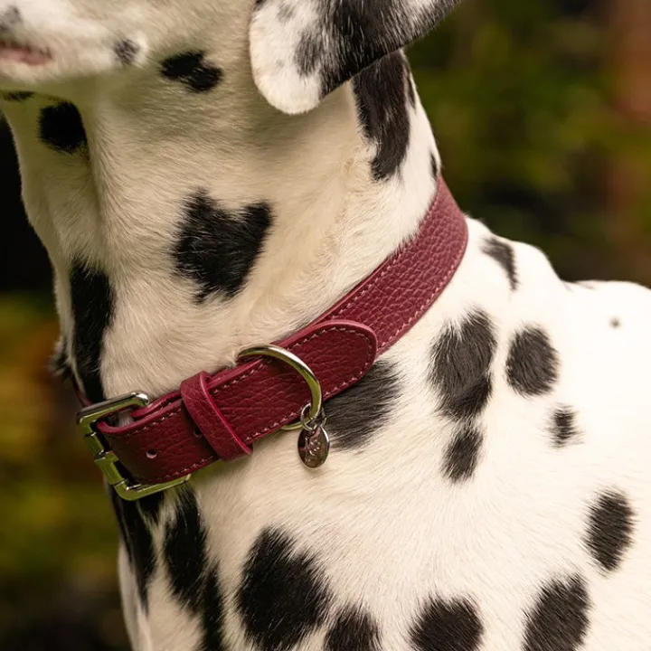 Lily & Leo Leather Flat Dog Collar Oxblood Outlet