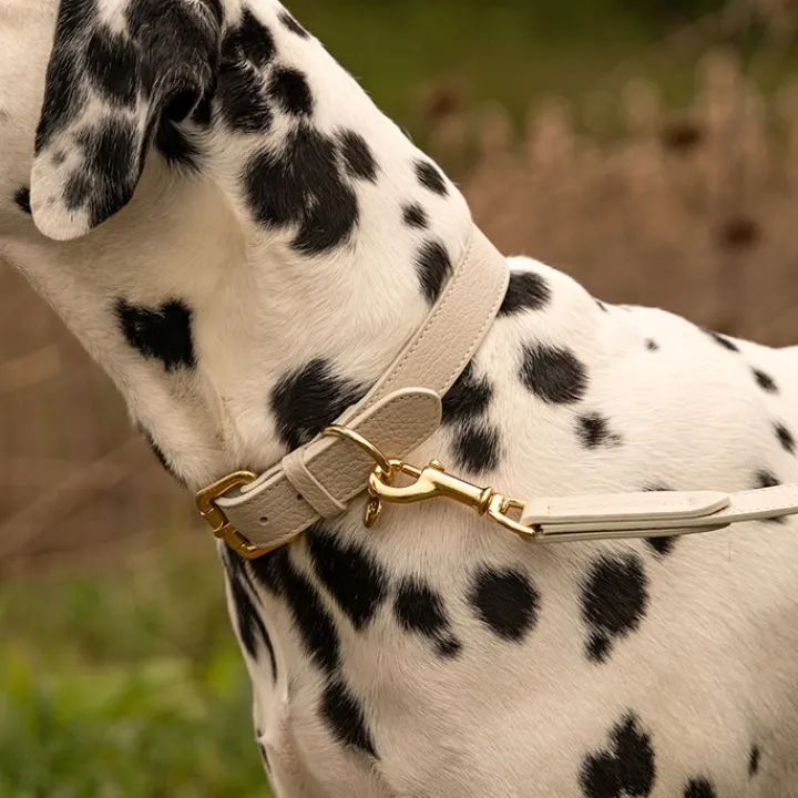 Lily & Leo Leather Flat Dog Collar Cream New