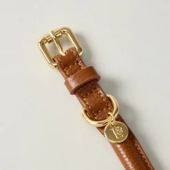 Lily & Leo Leather Rolled Dog Collar Tan Best