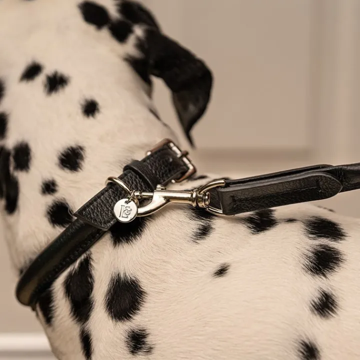 Lily & Leo Leather Rolled Dog Lead Black Discount